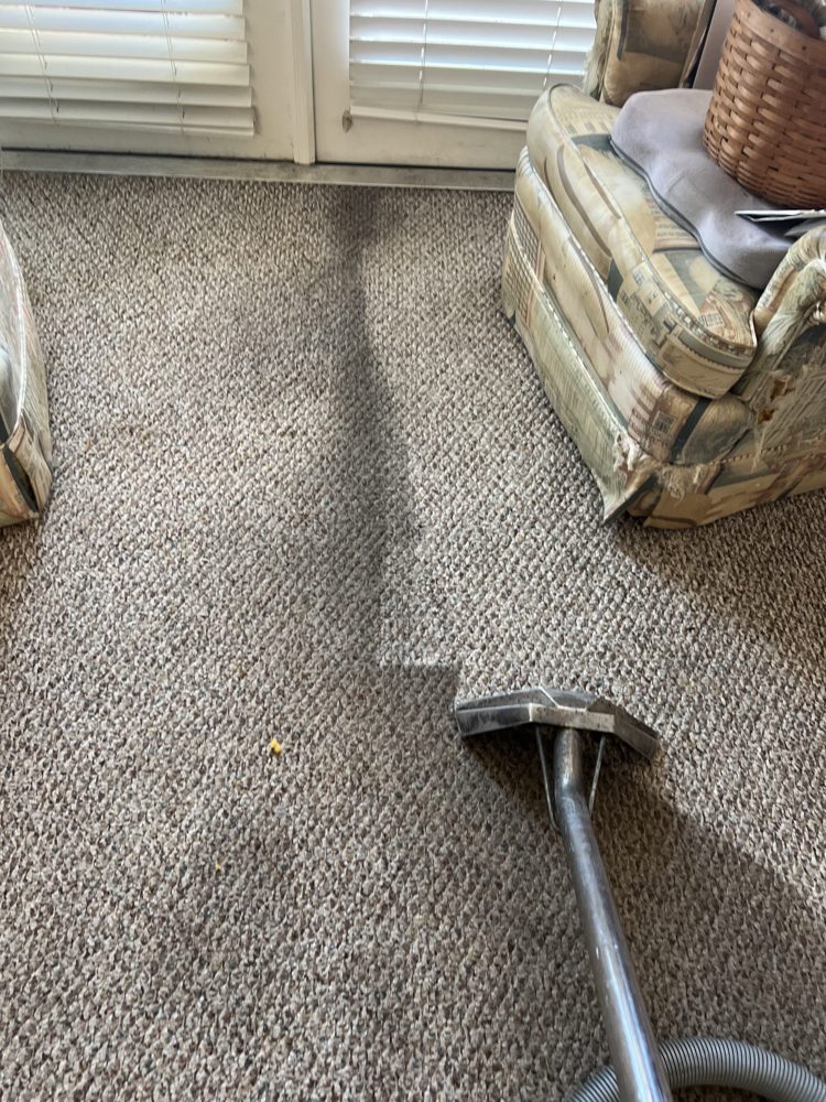 Rug Pro cleaning job 1