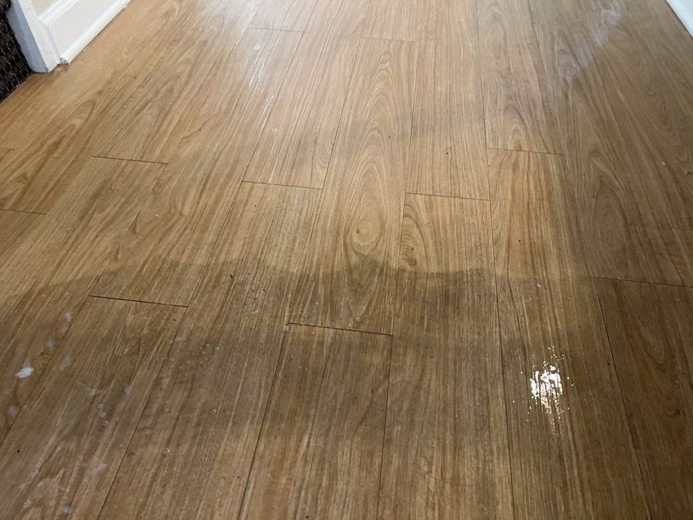 Rug Pro cleaning job 6