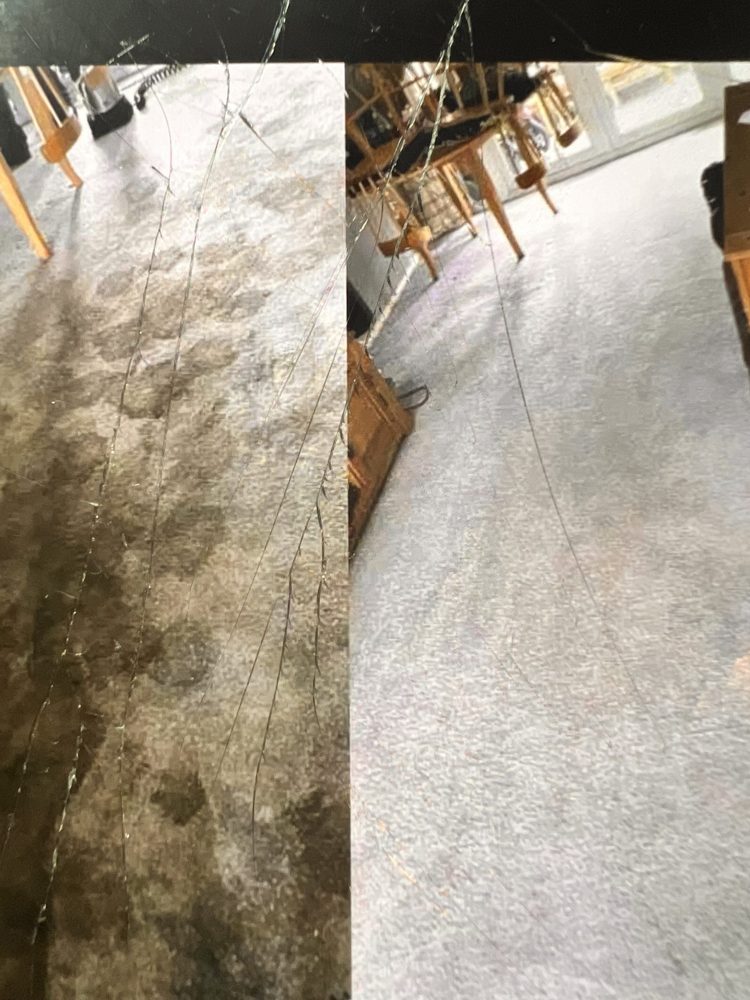 Rug Pro cleaning job 3
