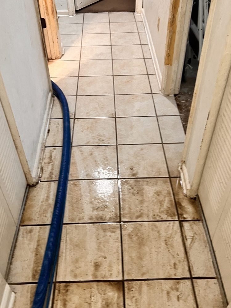 Rug Pro cleaning job 8