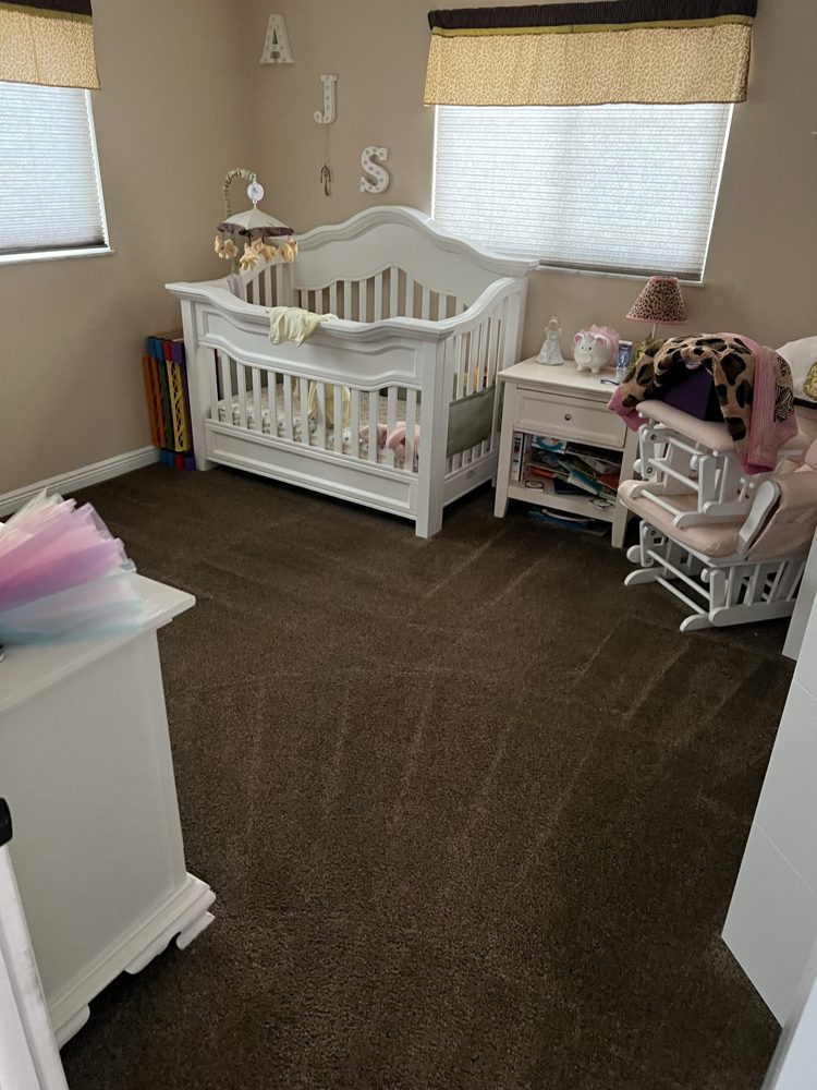 Rug Pro cleaning job 4
